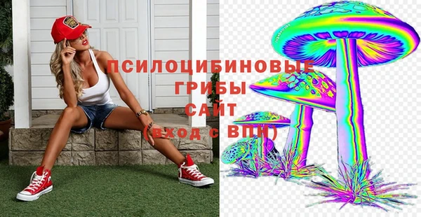каннабис Белокуриха