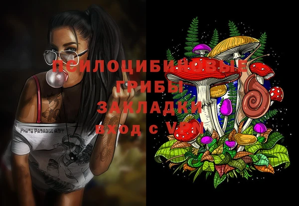 каннабис Белокуриха